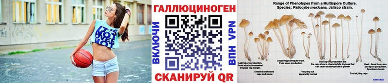 Псилоцибиновые грибы ЛСД Краснознаменск