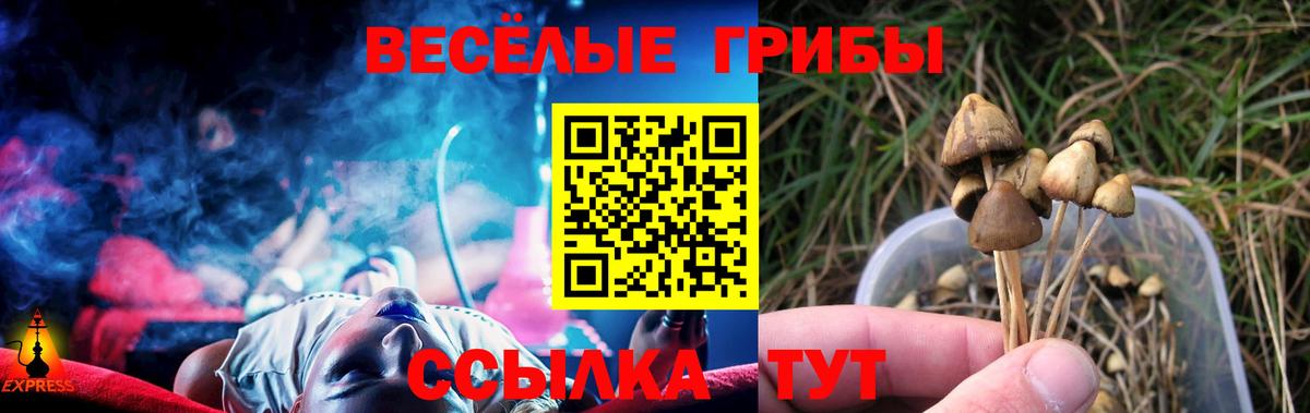 Галлюциногенные грибы прущие грибы  Галлюциногенные грибы мухоморы  Краснознаменск  Вход с VPN 