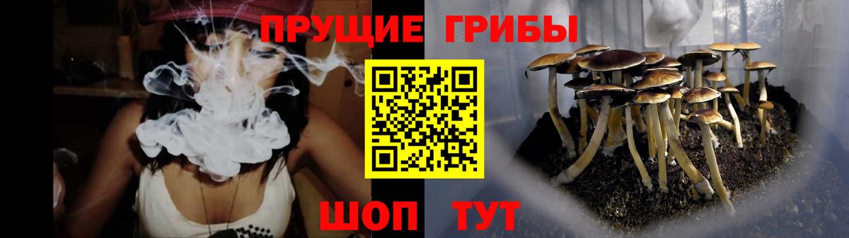 Псилоцибиновые грибы мицелий Краснознаменск